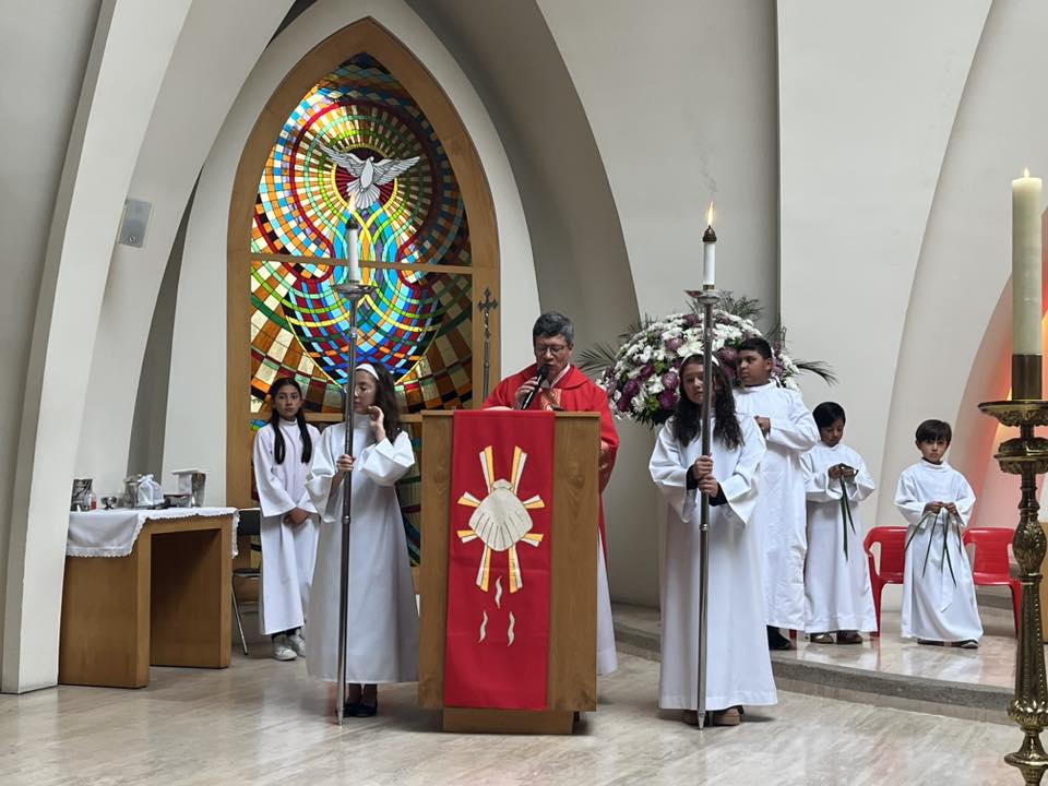 Domingo ramos