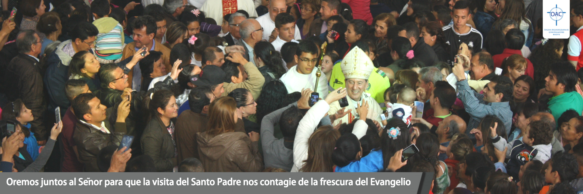 https://arquimedia.s3.amazonaws.com/1/nicolas2/cardenal-33wewe33jpg.jpg